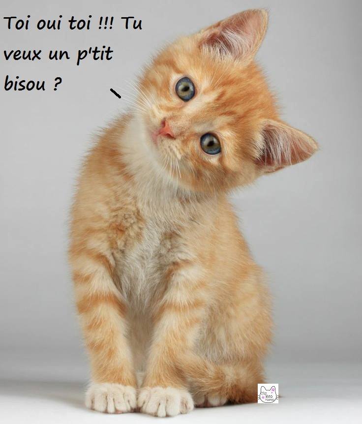 un ptit bisou