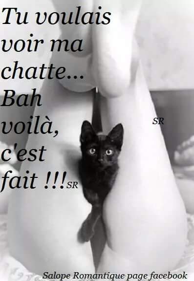 Chatte
