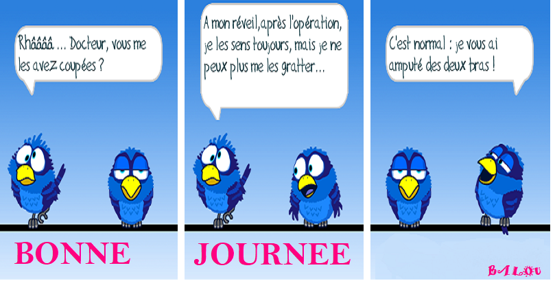 BONJOUR A TOUS 