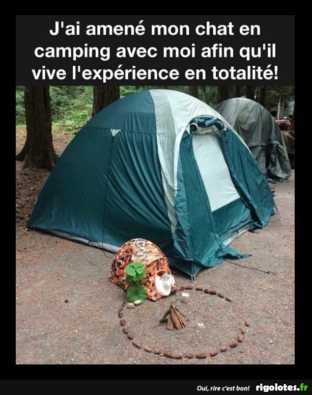 bichette au camping