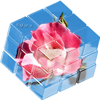 cube fleur
