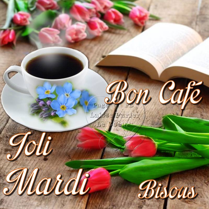 Bon café - Joli Mardi  
