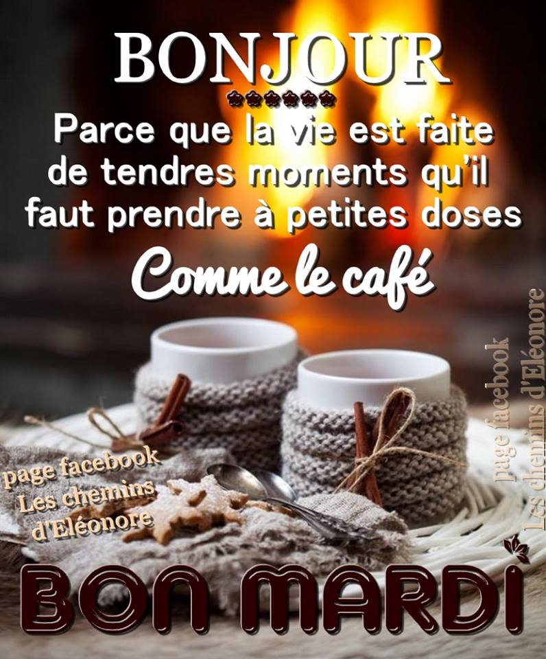 Bonjour - Parce que la vie est faite de tendres moments...