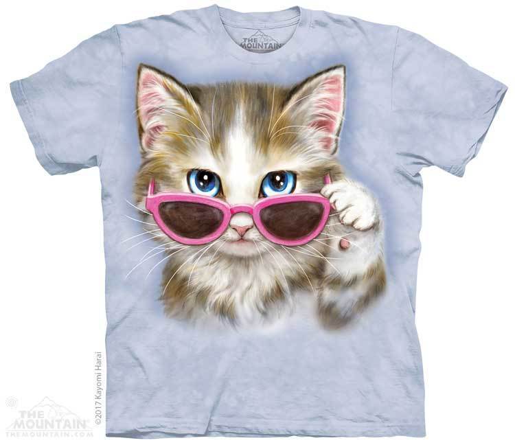 chat qui regarde