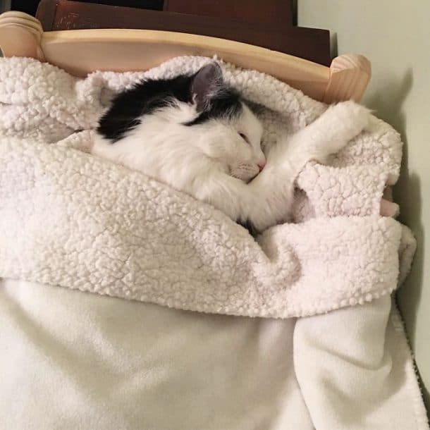 grasse mat