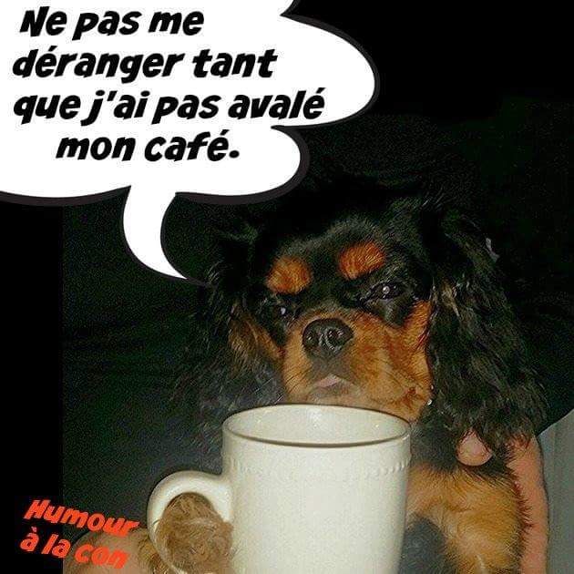 Le café est offert par Blacky