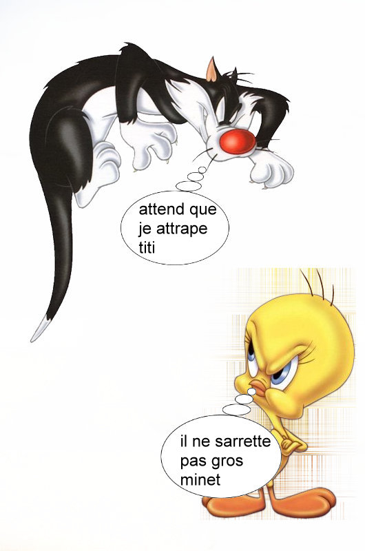 titi et gros minet