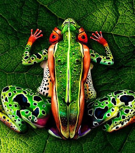grenouille