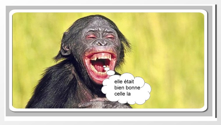 Singe_rire