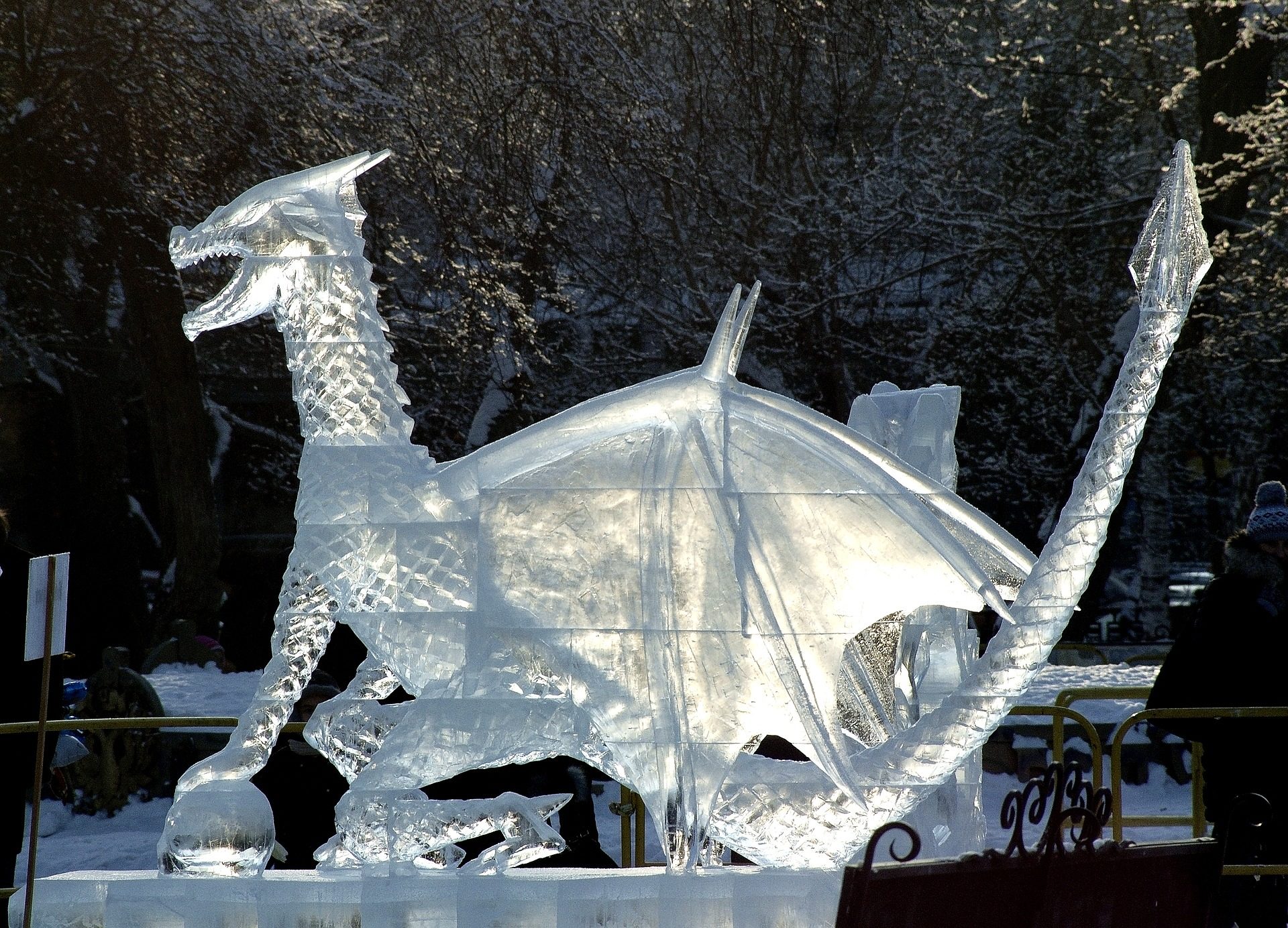sculpture-de-glace dragon _