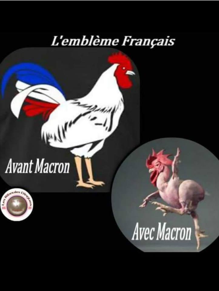 emblème français