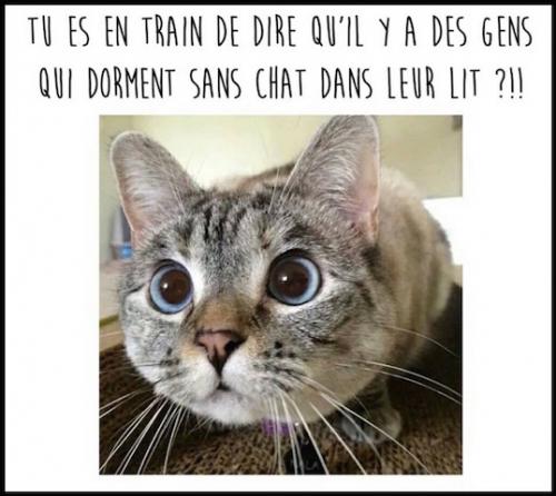 Tu es en train de dire qu