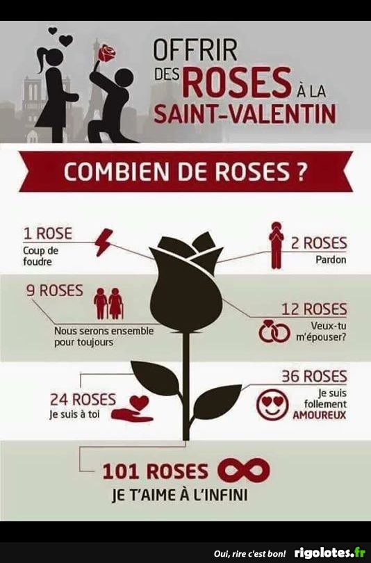 pas confondre envoyer des roses et envoyer sur les roses Photos Humour