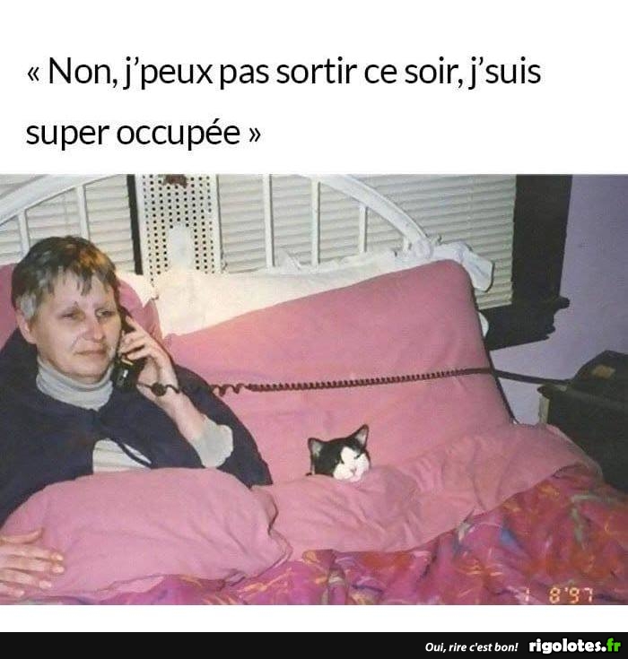 occupée