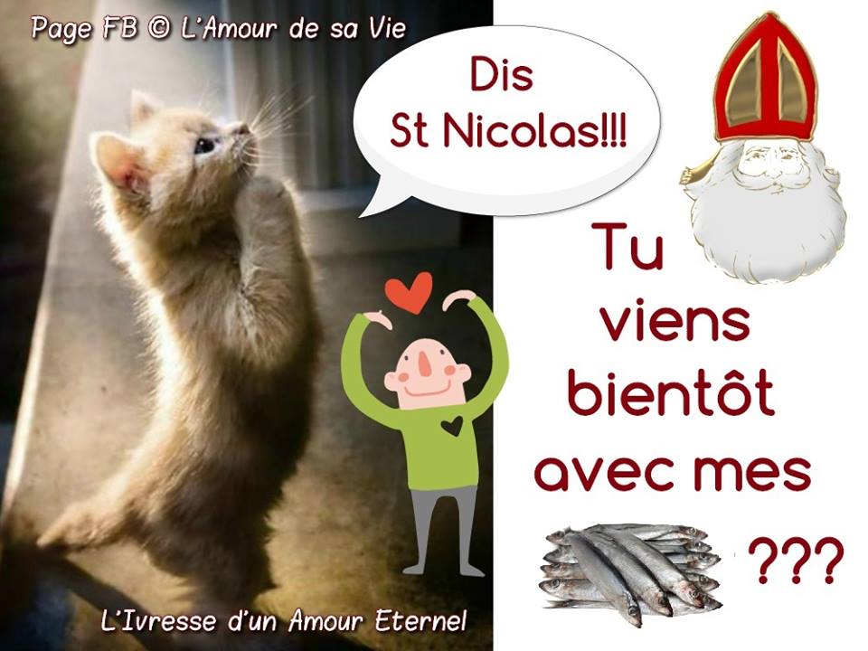 Dis St Nicolas!!! Tu viens bientôt avec mes sardines
