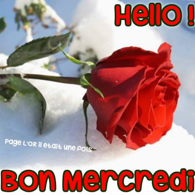 Photos Humour : Hello ! Bon Mercredi