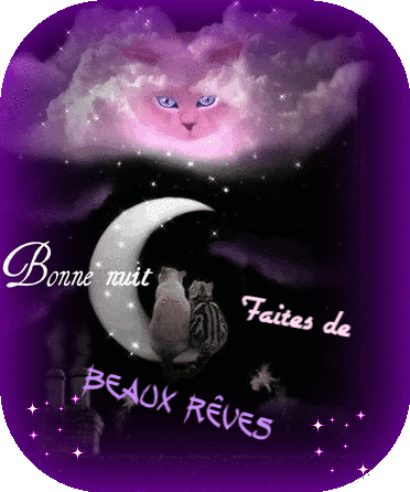 Bonsoir 
