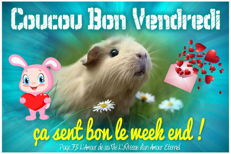 Coucou, Bon Vendredi, ça sent bon le week end ! 