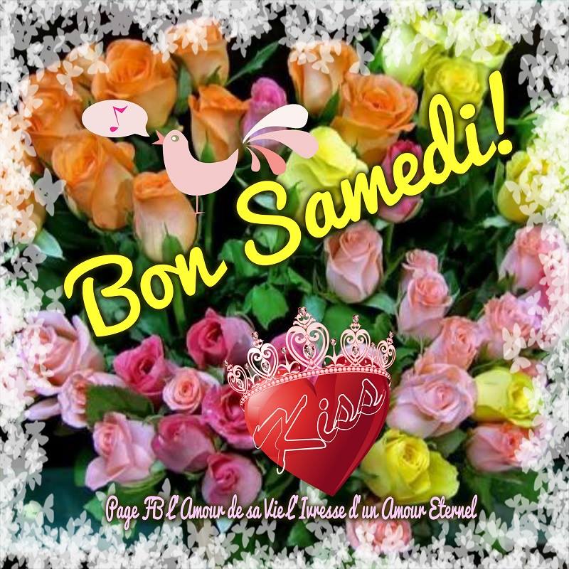 Bon Samedi ! 