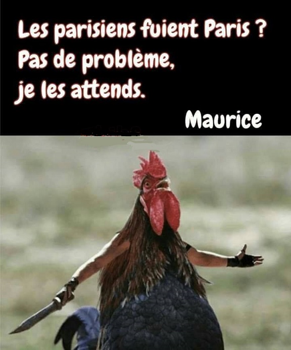 MAURICE