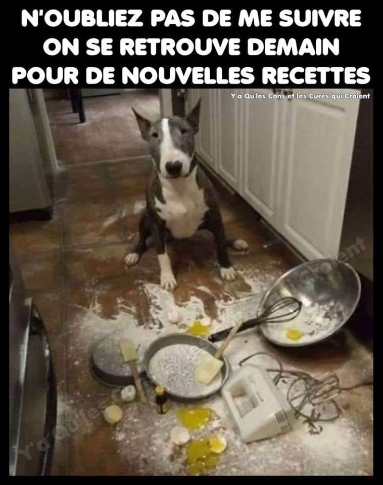 nouvelles recettes