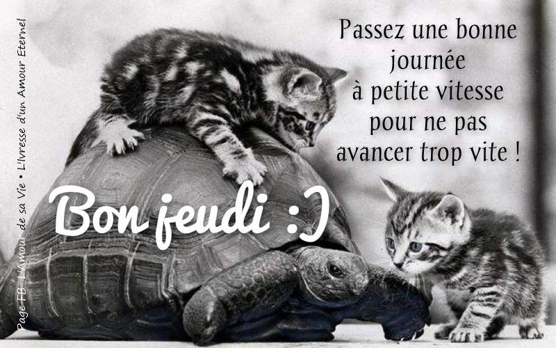 Passez une bonne journée à petite vitesse pour ne pas avancer trop vite !