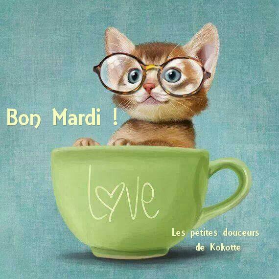 Bon Mardi !