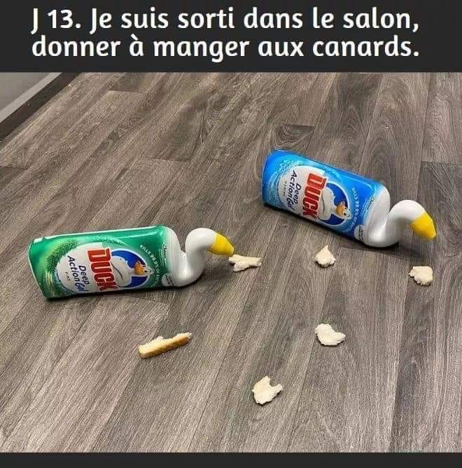 J 13 - Je suis sorti dans le salon, donner à manger aux canards