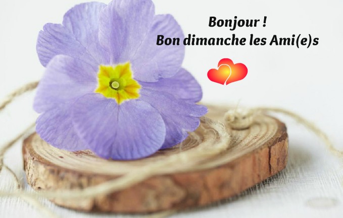 Bonjour ! Bon dimanche les Ami(e)s (5) 