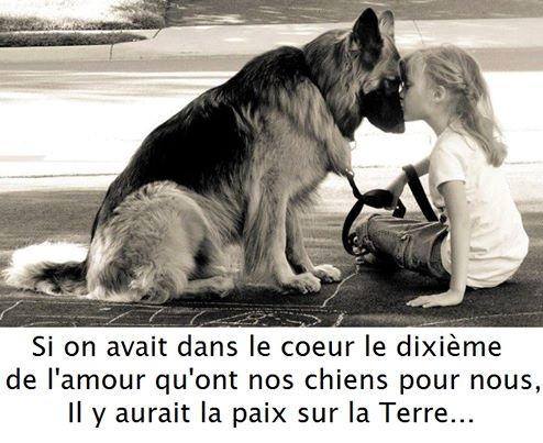 Il y aurait  ... 
