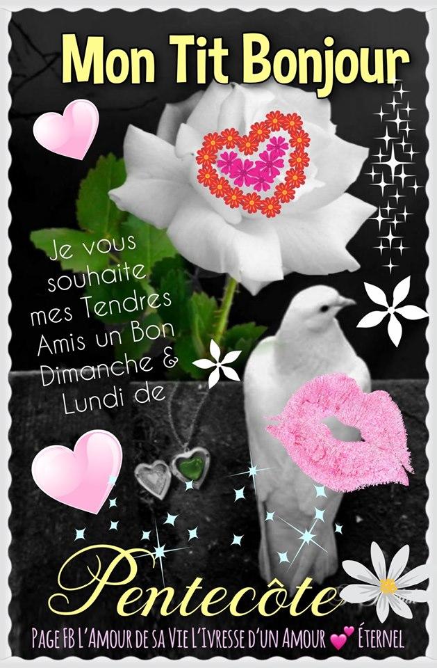 Mon Tit Bonjour Je vous souhaite mes tendres amis un Bon Dimanche & Lundi de Pentecôte