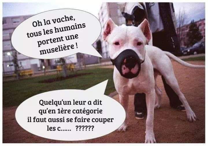 parole