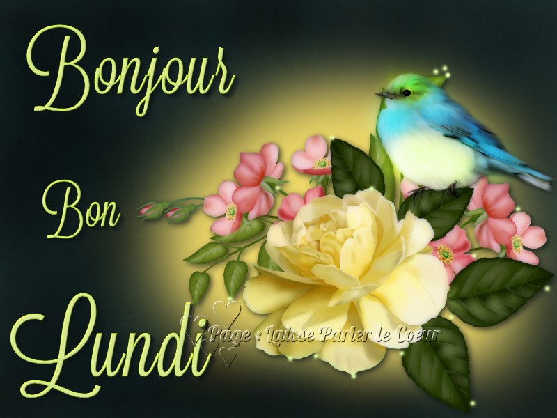 Bonjour, Bon Lundi