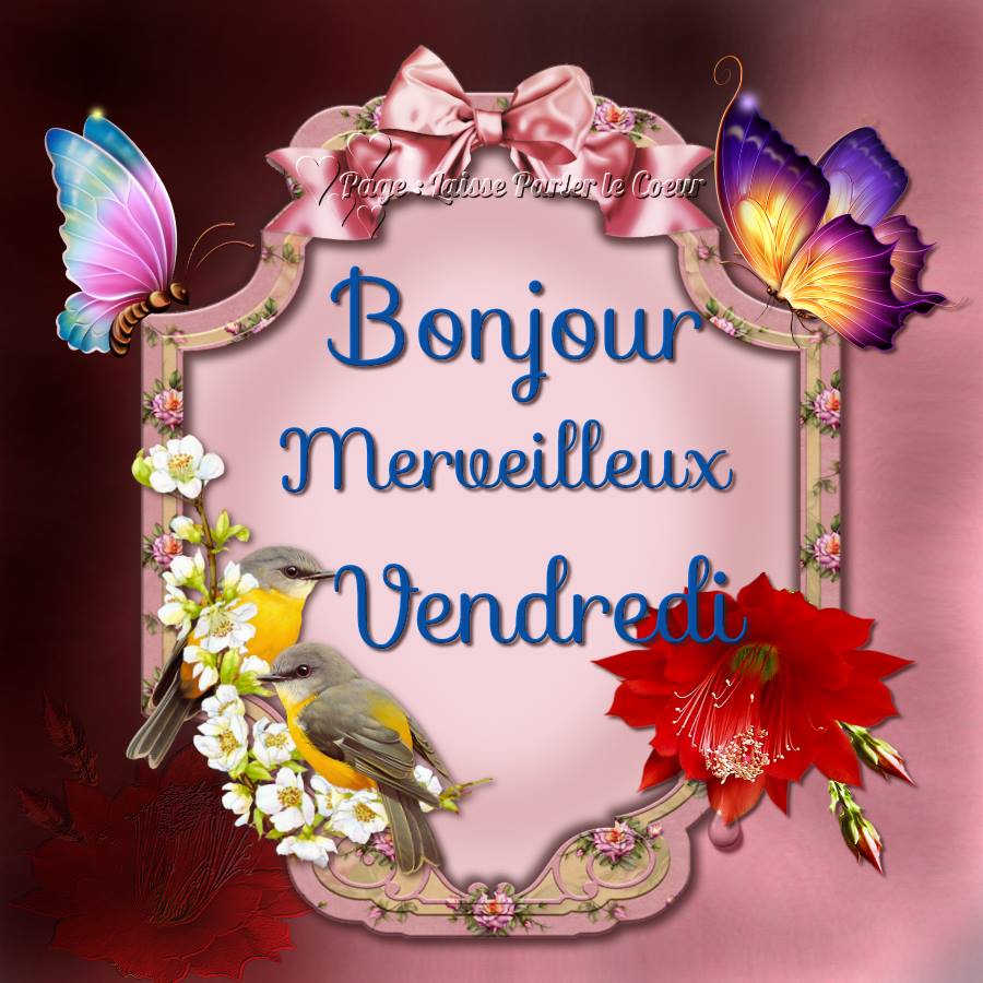 Bonjour, Merveilleux Vendredi 