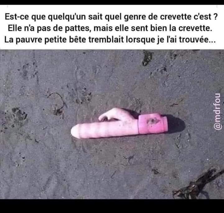 elle est aux