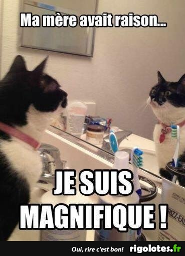ta mère