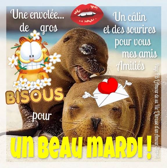 Une envolée... de gros bisous pour un beau mardi ! Un câlin et des sourires pour vous mes amis, amitiés