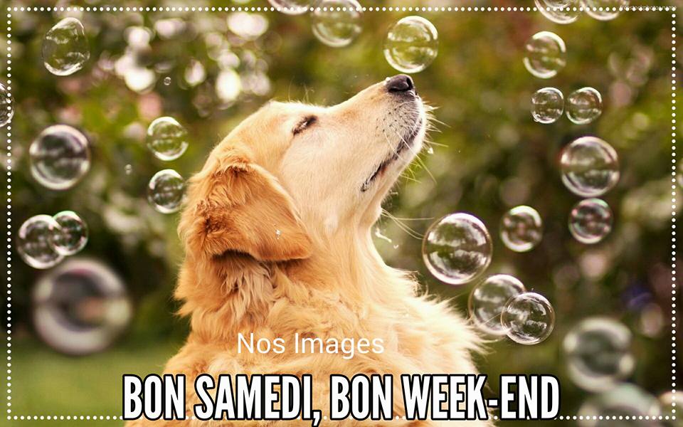 Bon Samedi, Bon Week End 