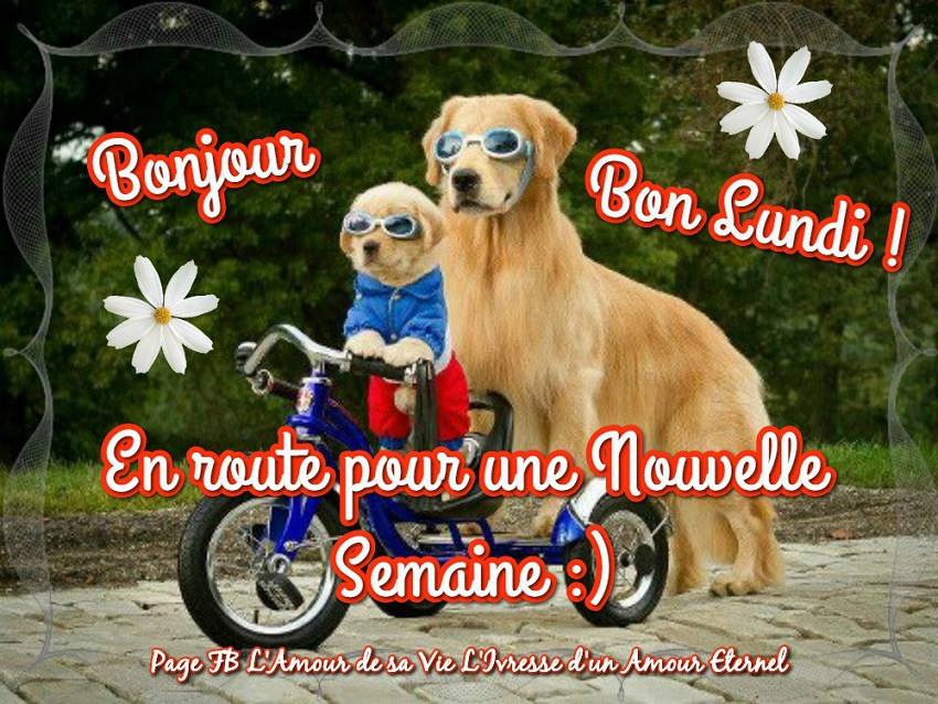 Bonjour, Bon Lundi ! En route pour une nouvelle semaine