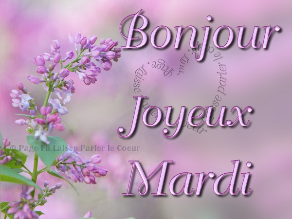 Bonjour, Joyeux Mardi