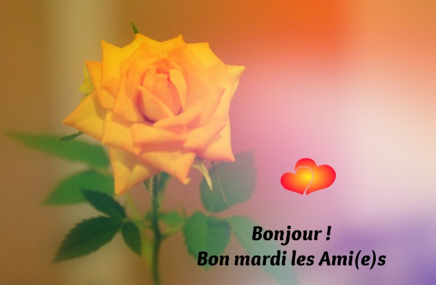 Bonjour ! Bon mardi les Ami(e)s (2)
