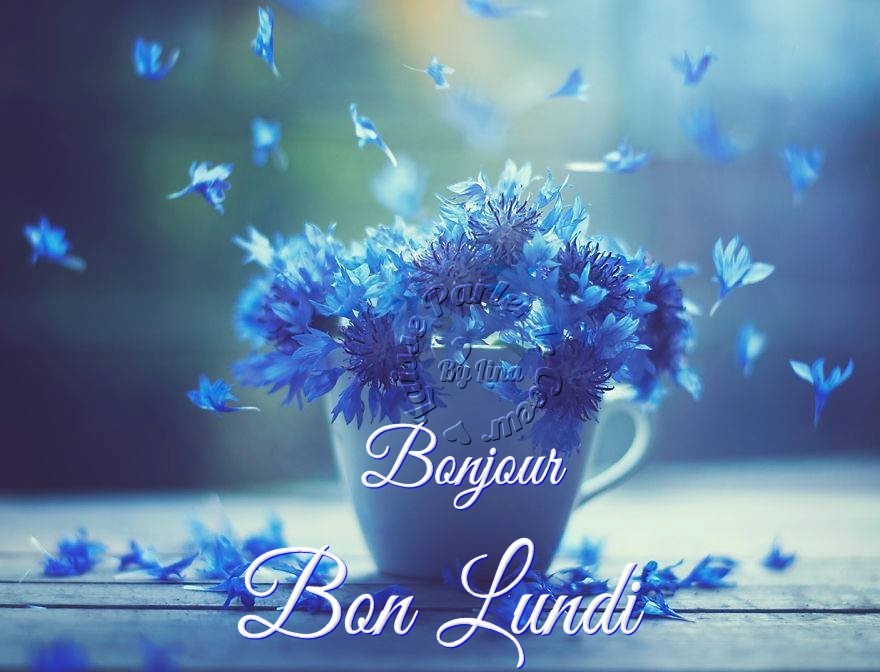 Bonjour, Bon Lundi 3