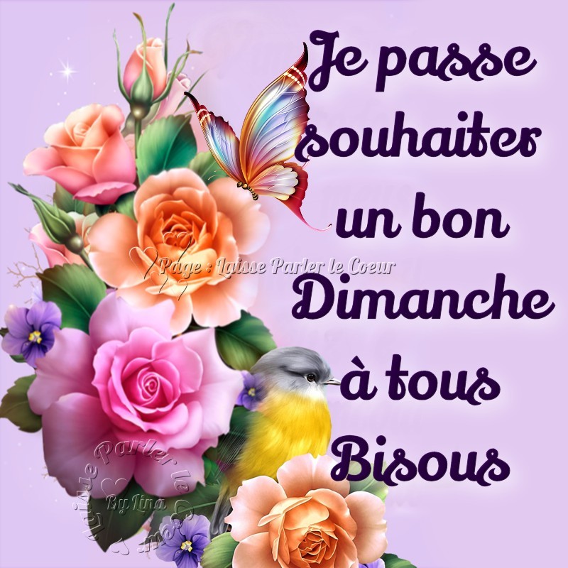 Je passe souhaiter un bon Dimanche à tous Bisous
