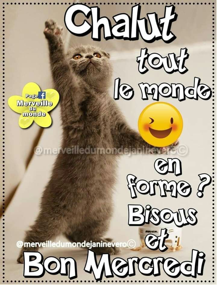 Chalut tout le monde en forme - Bisous et Bon Mercredi