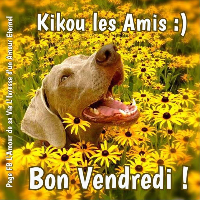 Kikou les Amis - Bon Vendredi ! 