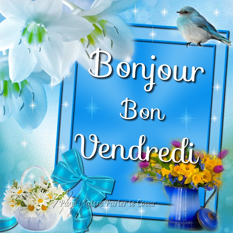 Bonjour, Bon Vendredi