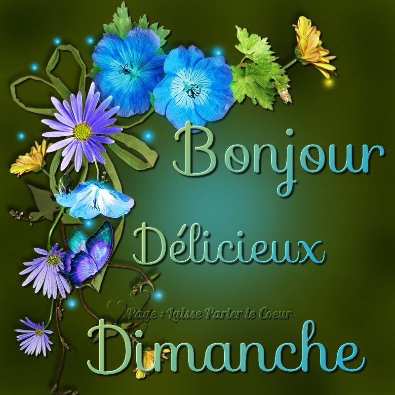 Bonjour, Délicieux Dimanche