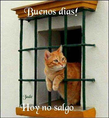 caméra de surveillance