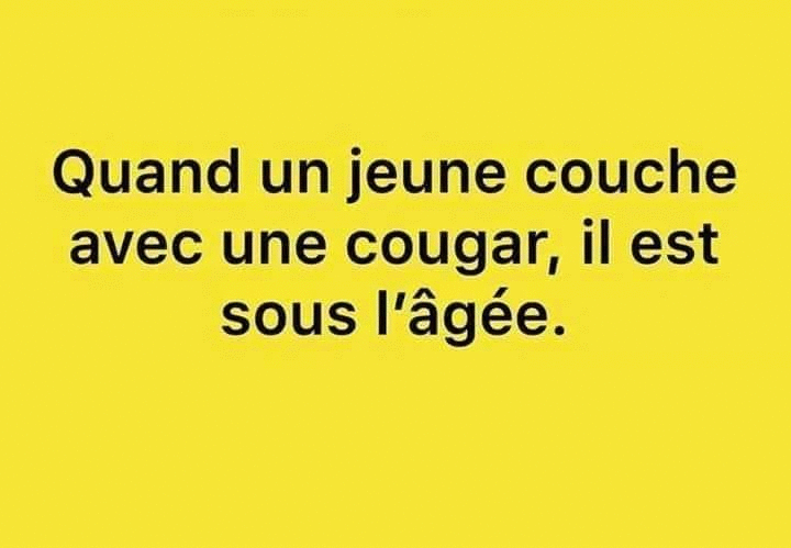cougar