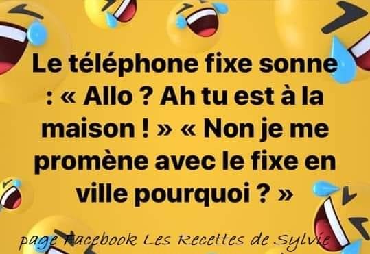 Le téléphone fixz sonne - Allo- Tu est à la maison